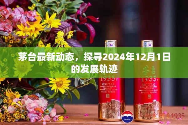 茅台最新动态揭秘,探寻未来一年发展轨迹,展望2024年12月新篇章