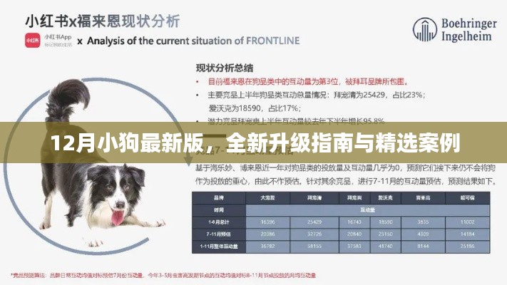炊粱跨卫 第4页