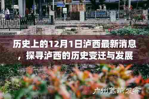 探寻泸西历史变迁与发展轨迹,最新消息聚焦12月1日泸西