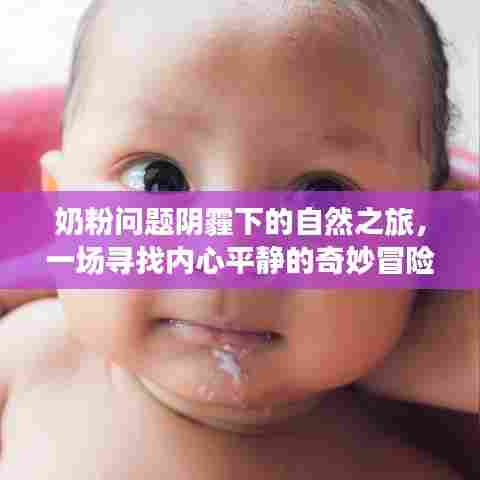 奶粉阴霾下的心灵之旅,寻找自然与内心平静的冒险