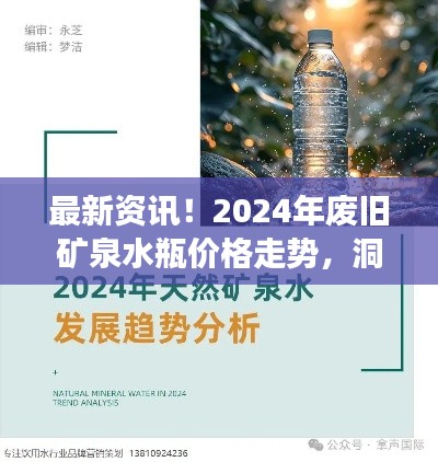 2024年废旧矿泉水瓶价格走势揭秘,洞悉行业变化最新资讯!