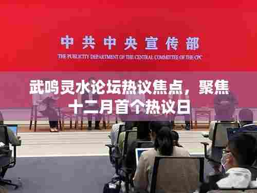 武鸣灵水论坛十二月首个热议日聚焦热议焦点