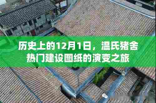 温氏猪舍建设图纸演变之旅,历史视角下的12月1日回顾