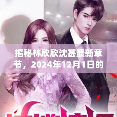 揭秘林欣欣沈甚,情感与成长之旅的最新章节(2024年12月1日)