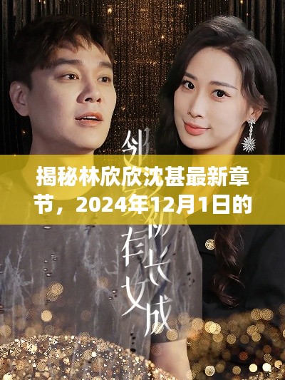 揭秘林欣欣沈甚,情感与成长之旅的最新章节(2024年12月1日)