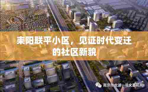 耒阳联平小区,时代变迁下的社区新貌见证