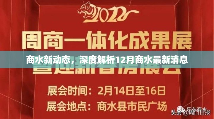 深度解析,商水新动态——最新消息速递(12月版)