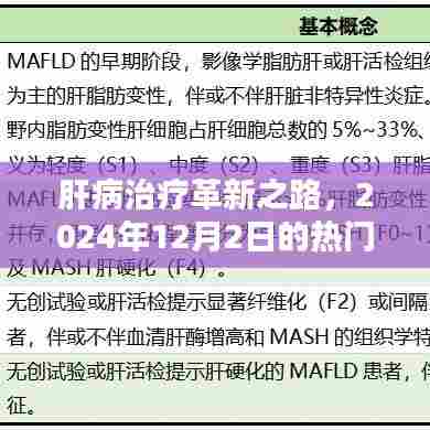 肝病治疗革新探索,热门疗法影响与展望(2024年12月2日)