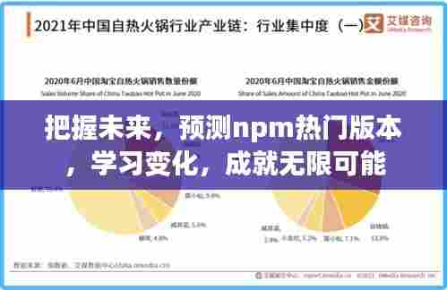 预测npm热门版本,把握未来成就无限可能潜能