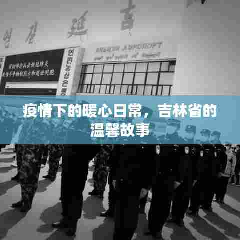 吉林省疫情下的暖心日常,温馨故事汇聚人心