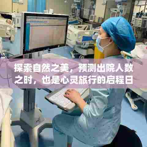 自然探索与心灵旅行的启程,预测出院人数之际的启示