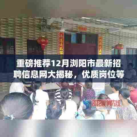 重磅推荐,浏阳市最新招聘信息网揭秘,优质岗位等你来选!