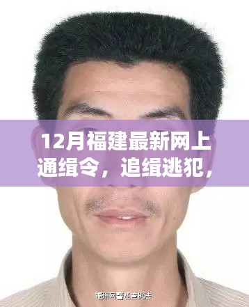 福建12月网上通缉逃犯,正义行动持续追缉不停歇