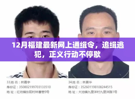福建12月网上通缉逃犯,正义行动持续追缉不停歇