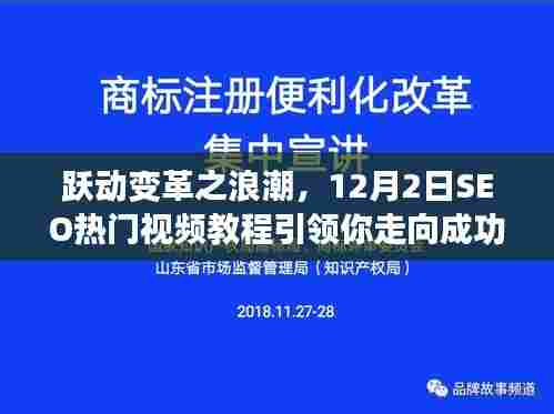 跃动变革浪潮,SEO热门视频教程引领你走向成功的星辰大海之路(12月2日版)