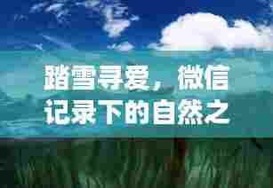 踏雪寻爱,微信记录的自然之旅