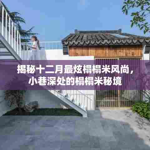 十二月榻榻米风尚揭秘,小巷深处的时尚秘境