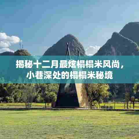 十二月榻榻米风尚揭秘,小巷深处的时尚秘境