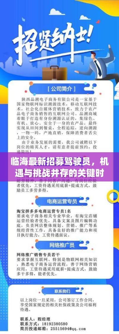 临海招募驾驶员,机遇与挑战并存的关键时刻开启新征程