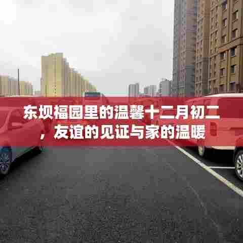 东坝福园十二月初二,友谊的见证与家的温馨聚会