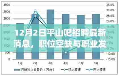 12月2日平山吧招聘最新消息,职位空缺与职业发展前景展望