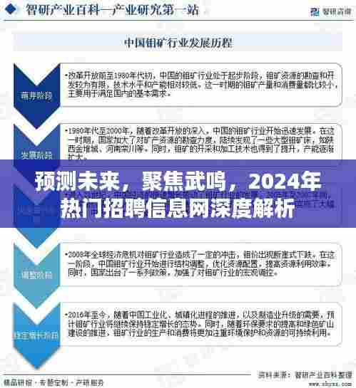 聚焦武鸣,2024年热门招聘信息网深度解析及未来趋势预测
