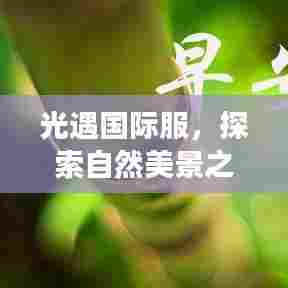 光遇国际服,启程探索自然美景,寻找内心的平和——12月2日的奇遇之旅