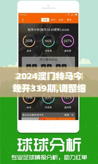 2024澳门特马今晚开339期,调整细节执行方案_Advanced34.859-7
