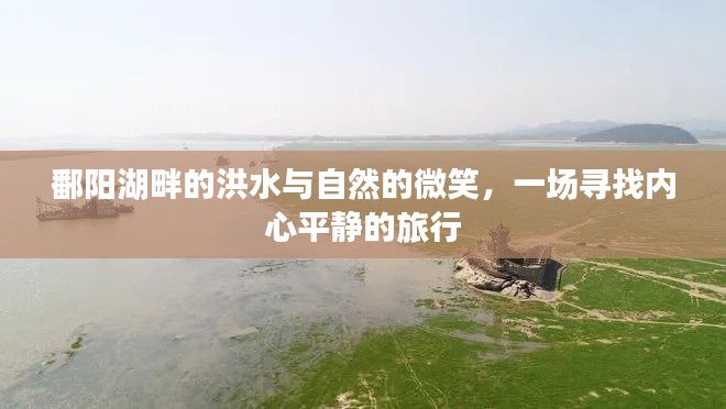 鄱阳湖畔的洪水与自然的微笑,心灵之旅的探寻