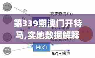 第339期澳门开特马,实地数据解释定义_复古款39.736-9