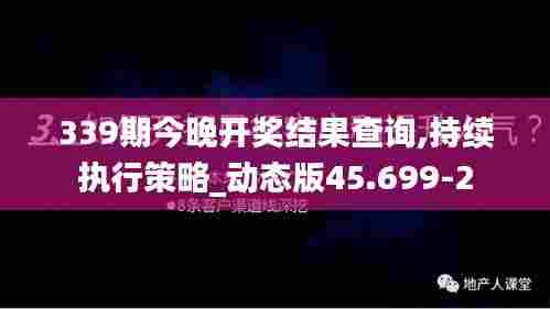 339期今晚开奖结果查询,持续执行策略_动态版45.699-2