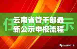 云南省管干部公示申报流程全新详解