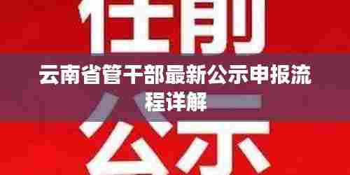 云南省管干部公示申报流程全新详解
