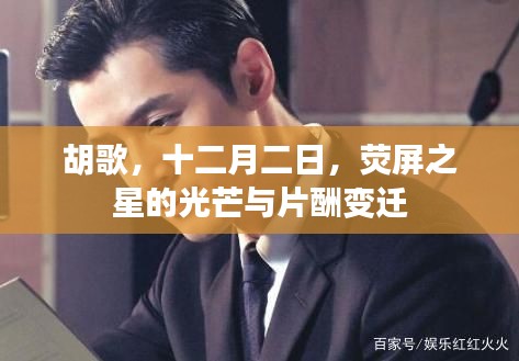 胡歌,荧屏之星的光芒与片酬变迁揭秘