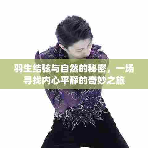 羽生结弦与自然的对话,内心平静的奇妙之旅