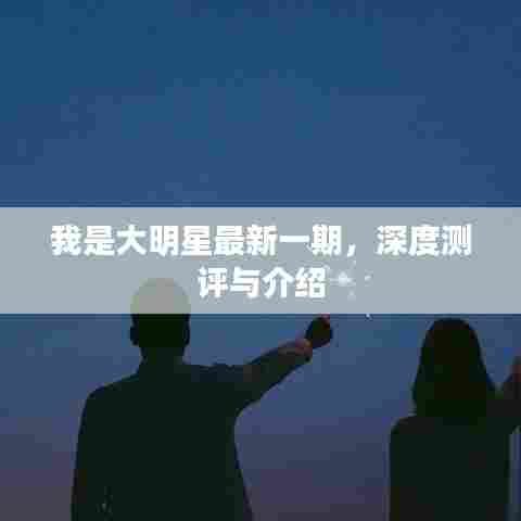 我是大明星最新一期深度测评与介绍全解析