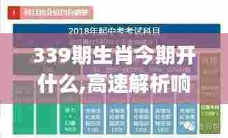 339期生肖今期开什么,高速解析响应方案_WP37.767-8