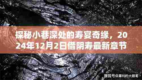 倦鸟思归 第4页