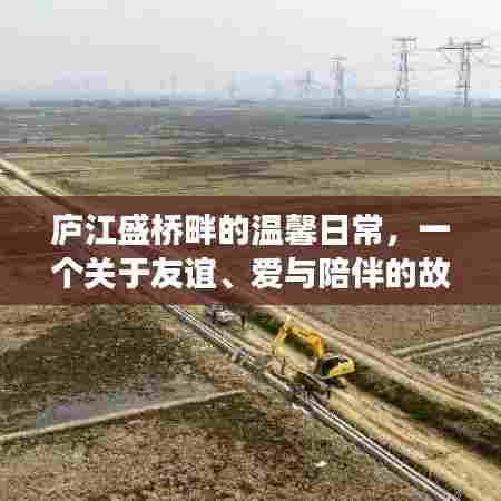 庐江盛桥畔的温馨日常,友谊、爱与陪伴的动人篇章