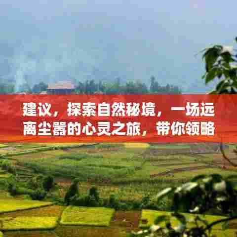 探索自然秘境,心灵之旅领略宁静之美