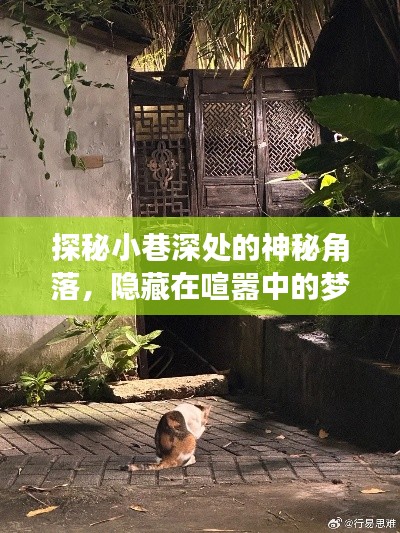 探秘梦幻手游预约秘境,小巷深处的神秘角落