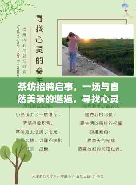 茶坊寻找心灵伴侣，与自然美景邂逅的招聘启事