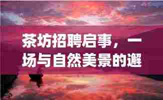 茶坊寻找心灵伴侣,与自然美景邂逅的招聘启事