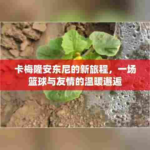 卡梅隆安东尼的新旅程,篮球与友情的温暖交汇