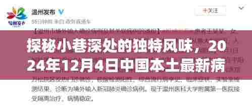 探秘小巷独特风味，中国本土病例之外的小故事，2024年12月4日纪实
