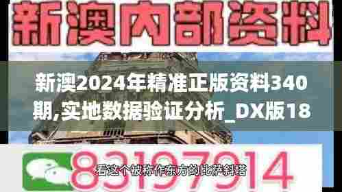 新澳2024年精准正版资料340期,实地数据验证分析_DX版188.884-9