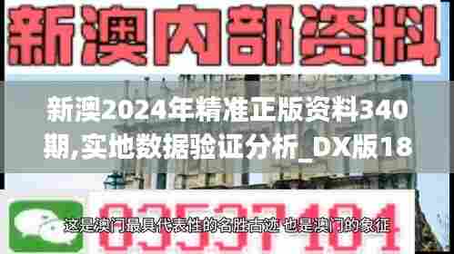 新澳2024年精准正版资料340期,实地数据验证分析_DX版188.884-9
