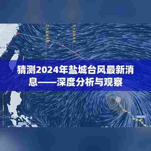 盐城台风最新动态,深度分析与观察(预测至2024年)