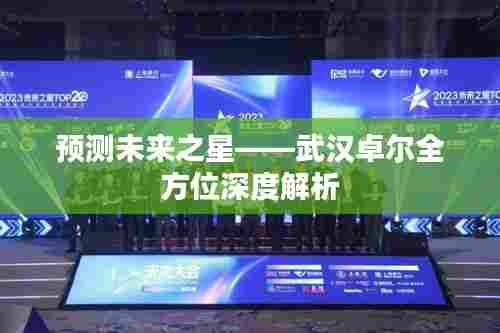 武汉卓尔全方位深度解析,预测未来之星崛起之路