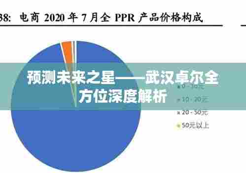 武汉卓尔全方位深度解析,预测未来之星崛起之路